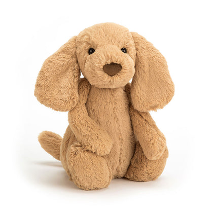 Jellycat If I Were a Dog Board Book & Bashful Toffee Puppy Medium